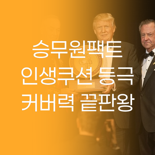 커버력 좋은 뷰디아니 승무원팩트, 내