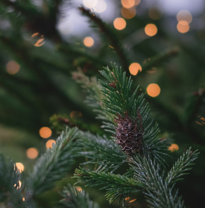 2025 한강겨울축제 로맨틱 한강 크리스마스 마켓&amp;#44; 봄ON한강&amp;#44; 한강바람축제