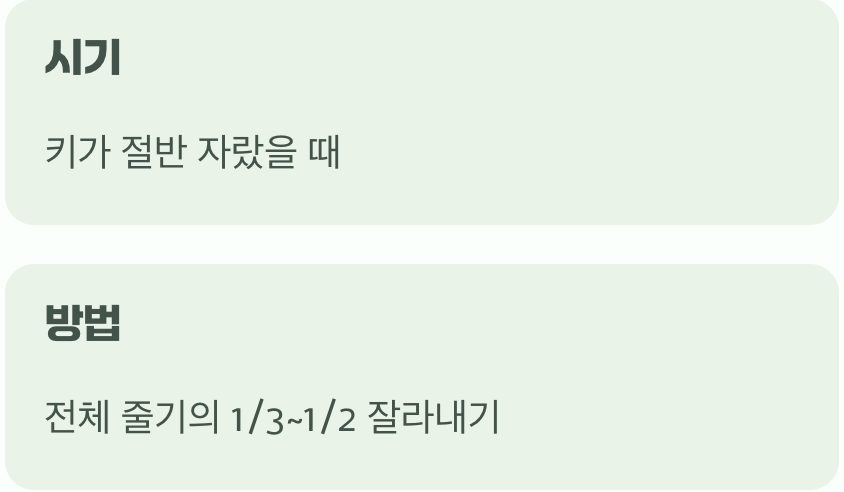 마법의 이발&amp;#44; &amp;#39;첼시 촙(Chelsea Chop)&amp;#39;