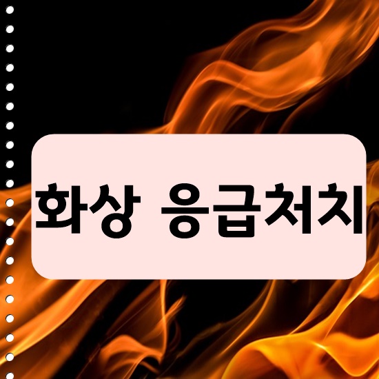 불이 타오르는 모습