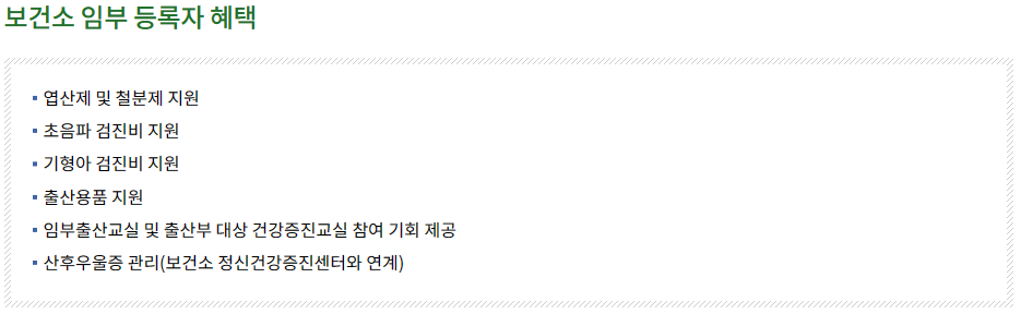 보건소 임부 등록자 혜택