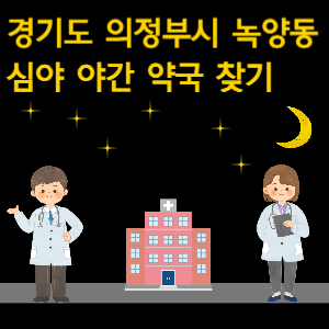 의정부시 녹양동 심야 야간 약국 찾기