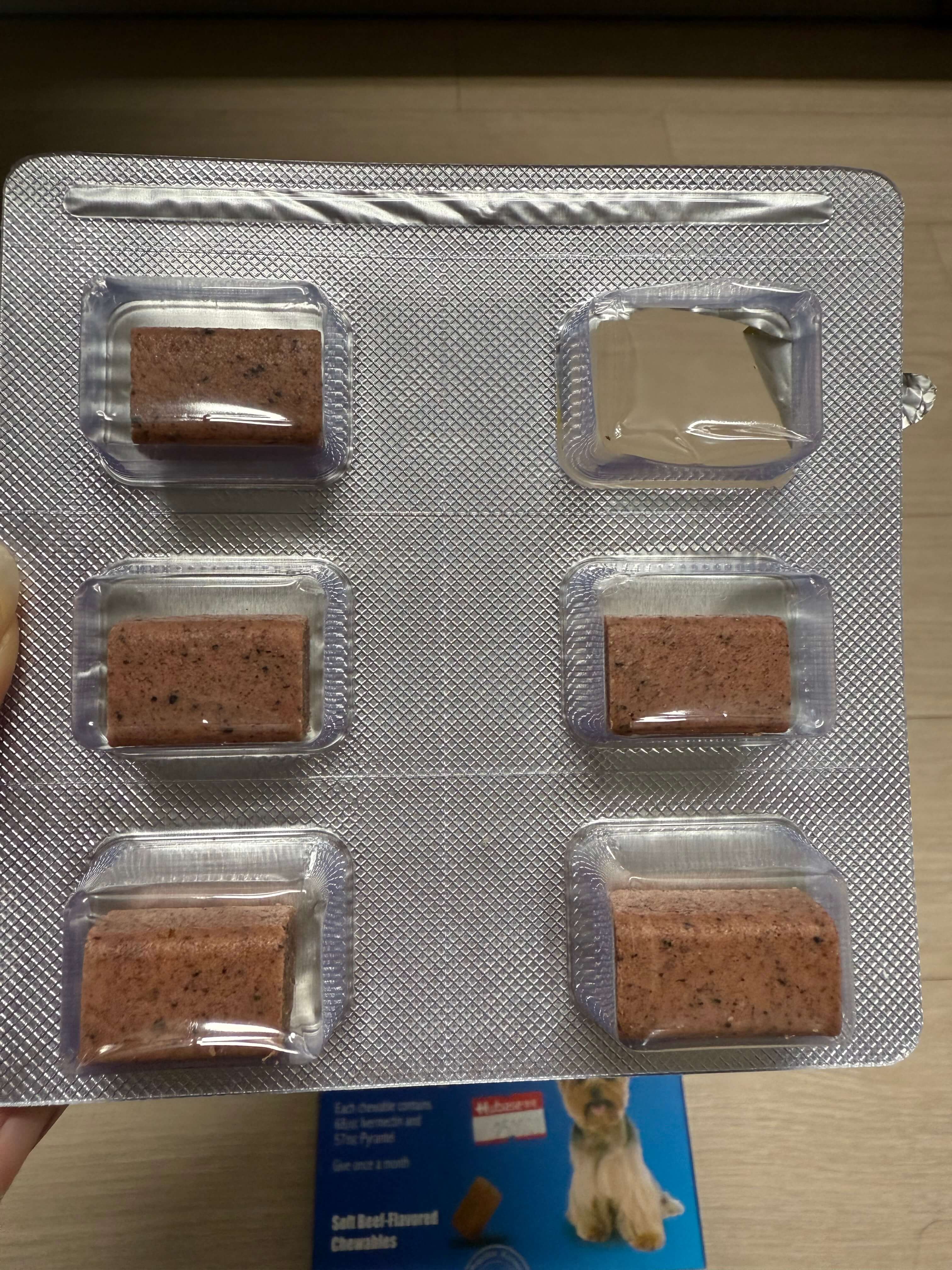 심장사상충약 추천