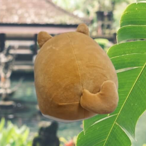 갤럭시 누끼따기