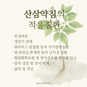 산삼 효능 영양 면역력 피로 회복 위한 섭취법 정리_14