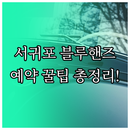서귀포 현대자동차 블루핸즈 예약 방법..