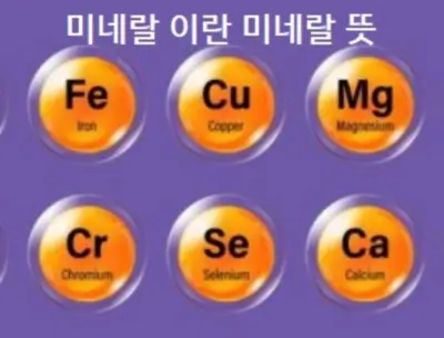 미네랄 이란 미네랄 뜻