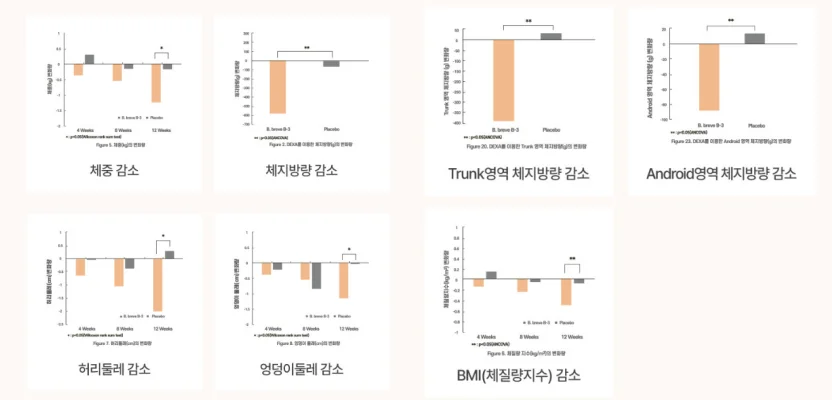 닥터비노-비피더스-후기