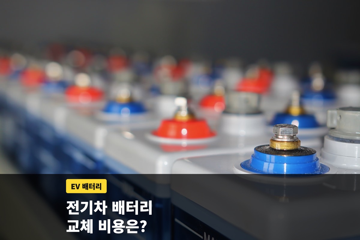 붉은색과 파란색 단자가 줄지어 있는 대형 배터리 셀