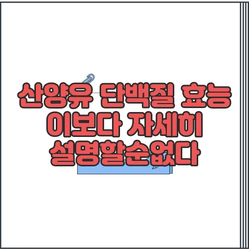 산양유 단백질 효능 이보다 자세히 설명할순없다