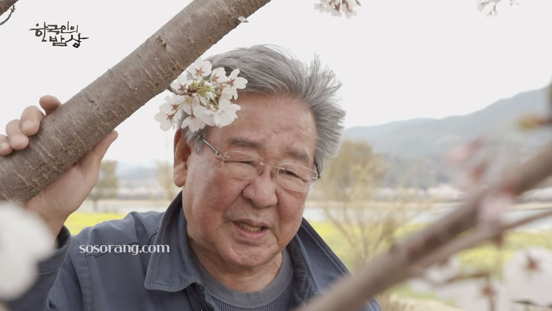 최불암 한국인의 밥상 촬영 중 모습