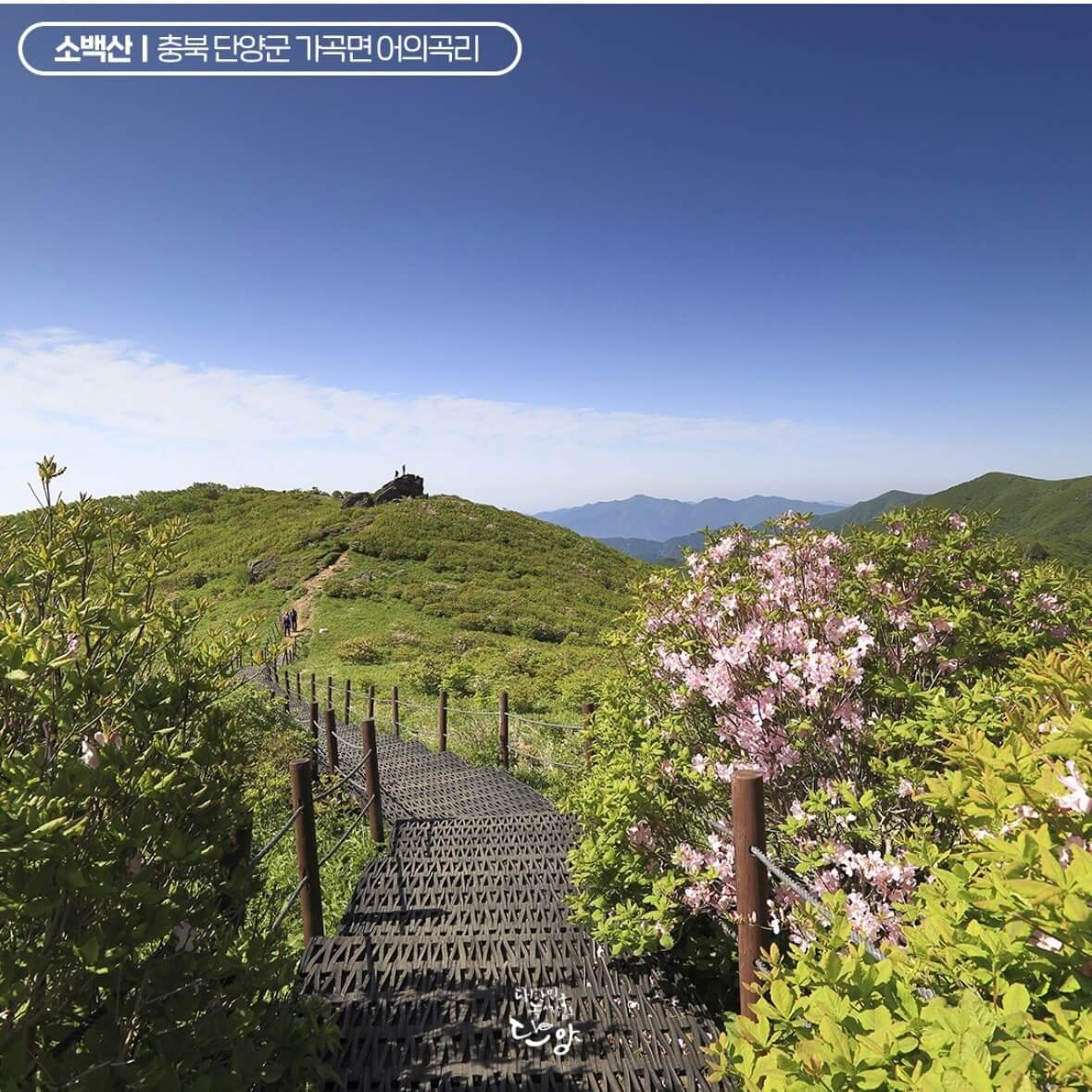 소백산 등산코스