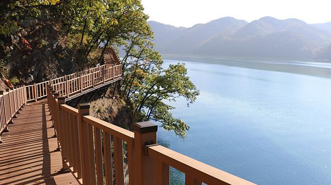 청주 근교 여행 산책 드라이브 코스 총정리