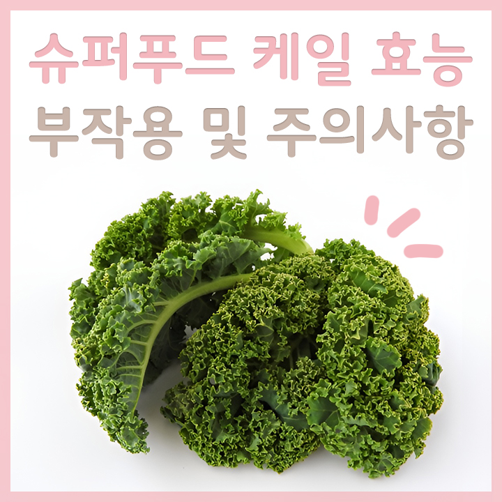 싱싱한-케일-모습