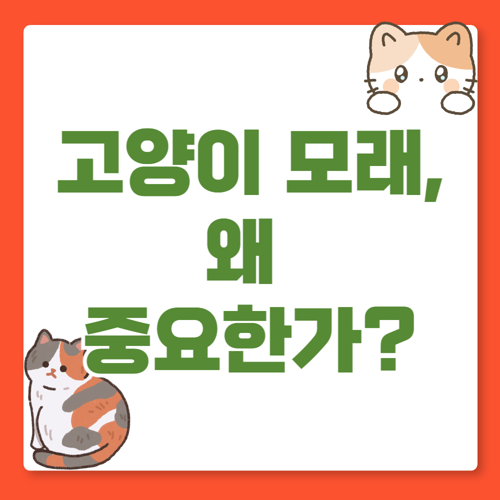 고양이 모래,왜 중요한가?
