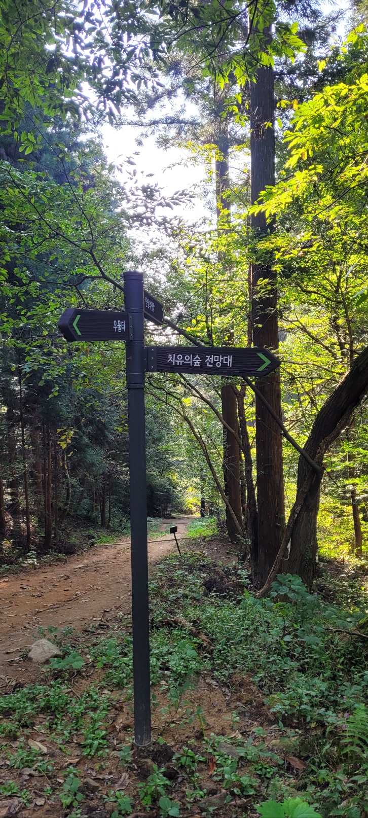 장성 치유의숲 축령산 전망대 가는길을 가리키는 이정표