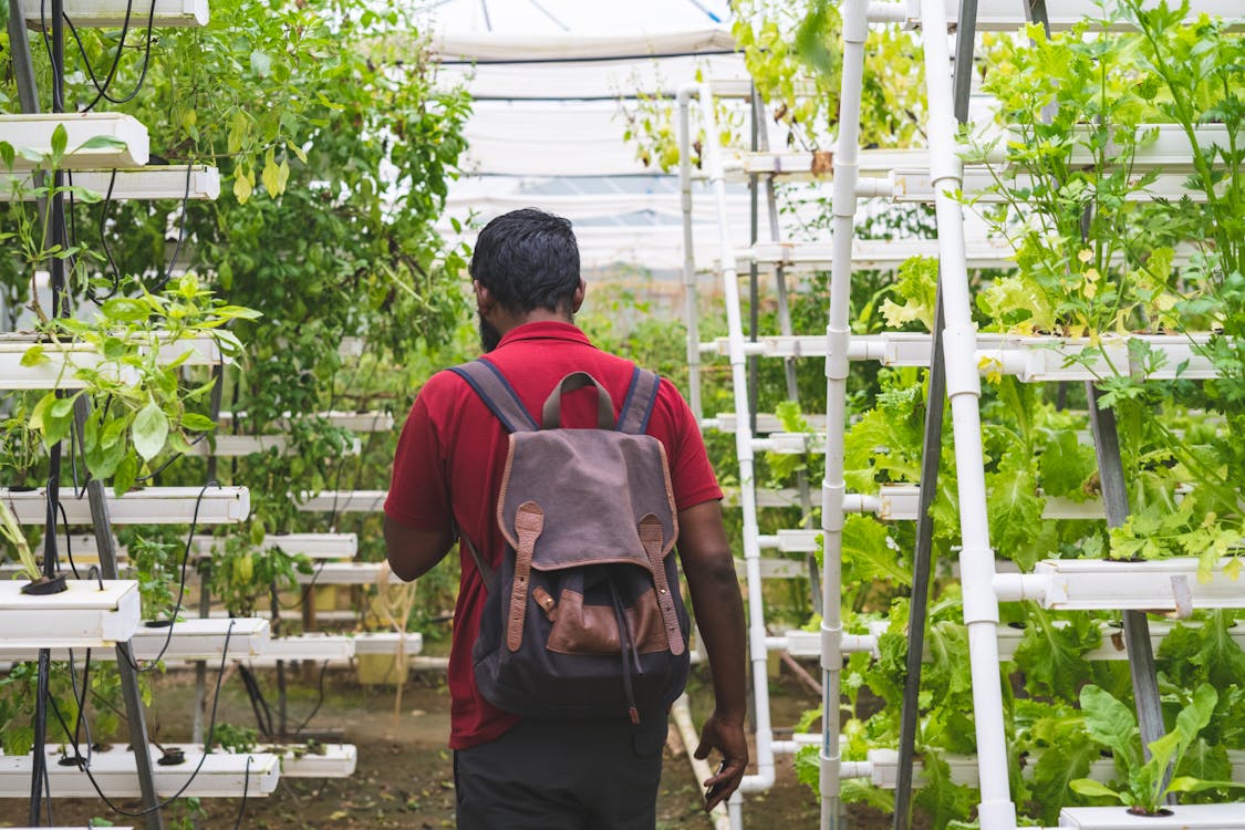 스마트팜 실수