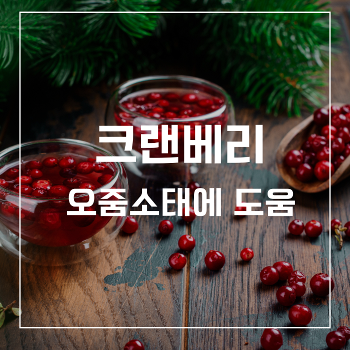 크랜베리