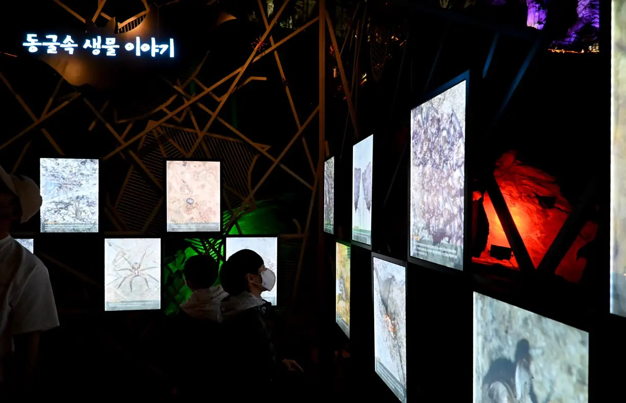 정선 화암동굴과 모노레일 사진34