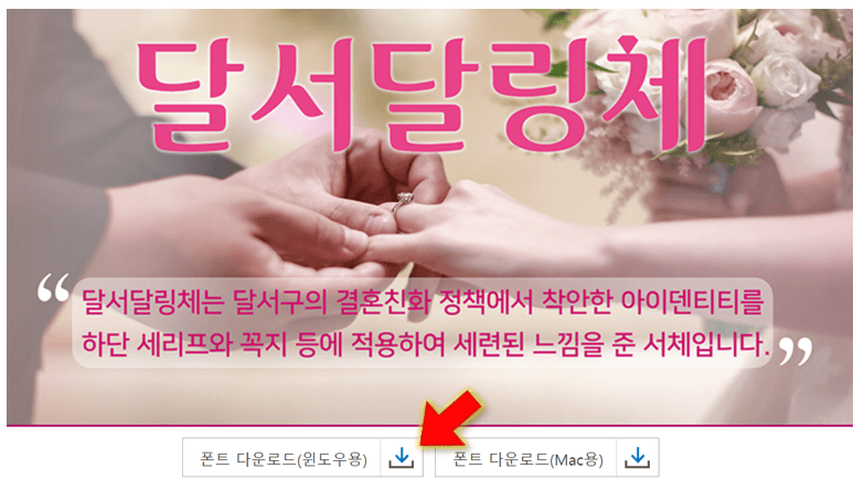 폰트-다운로드-진행하세요