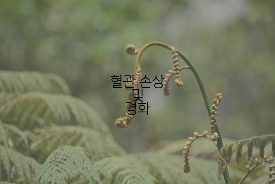 혈관 손상 및 경화