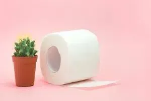 치질