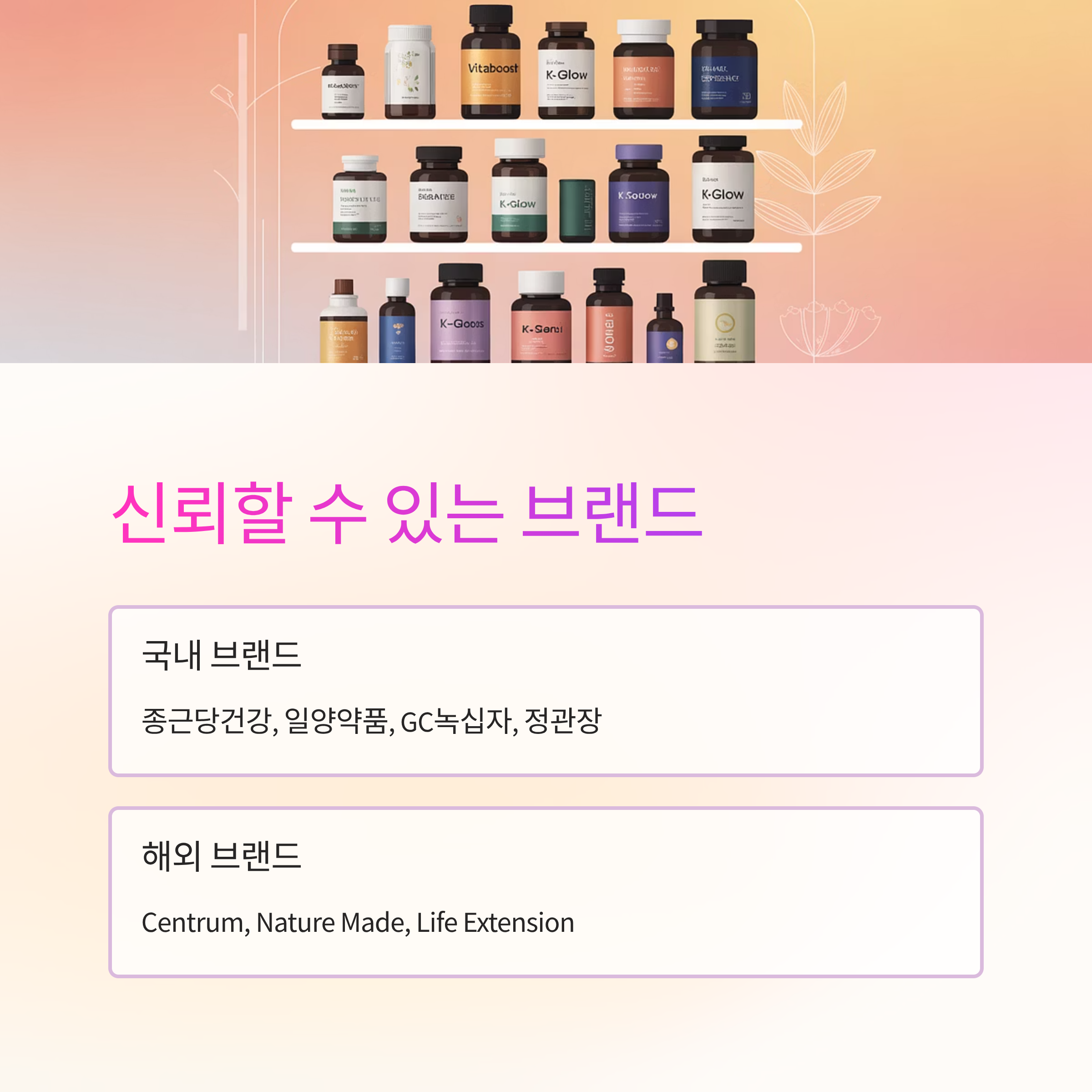 암치료 영양제 추천 브랜드와 선택 기준