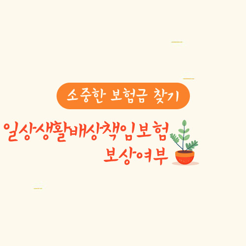 몸싸움 중 차량 파손, 일상생활배상책임보험 보상 여부