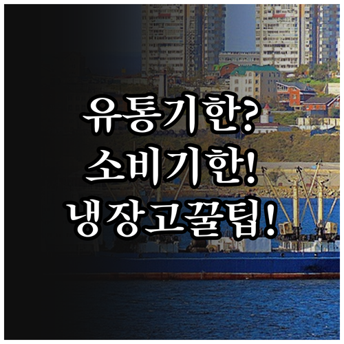 유통기한과 소비기한 차이부터 냉장고 ..