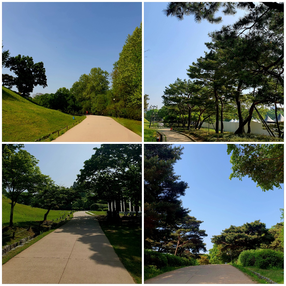 올림픽-공원에-여름이-왔습니다.