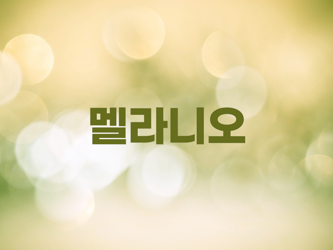 멜라니오 천주교 남자세례명 2인목록