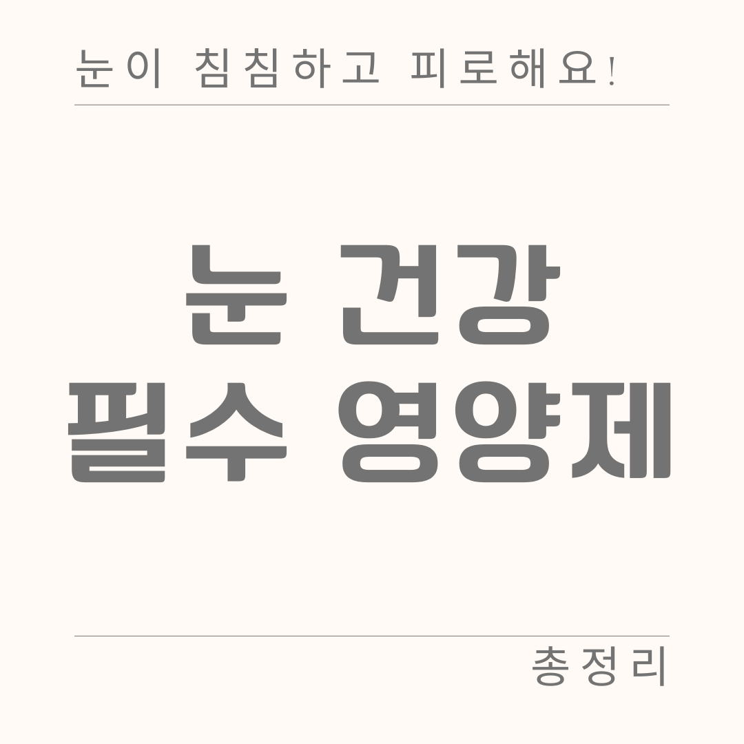 눈 건강 영양제 추천