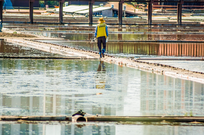 바닷물로 소금을 만드는 염전