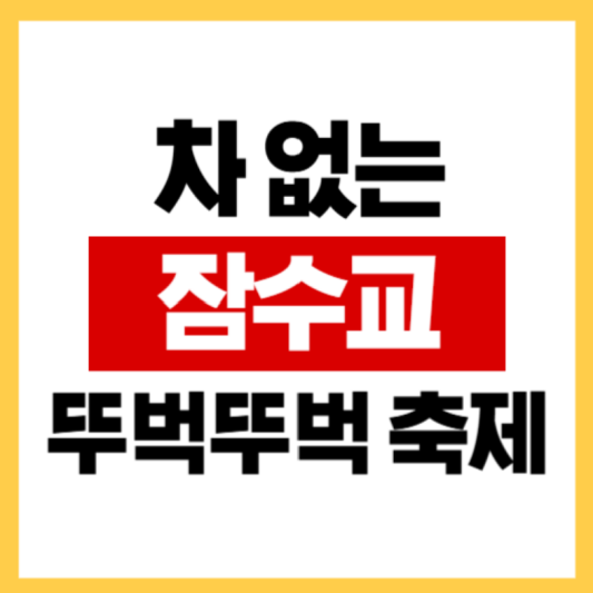 차 없는 잠수교 뚜벅뚜벅축제