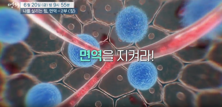 명의 면역력 장