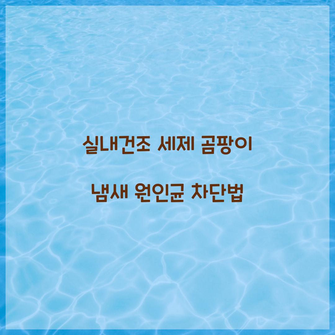 실내건조 세제 곰팡이 냄새 원인균 차단법