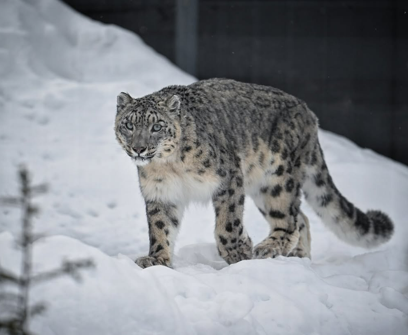 삿포로 가족여행 아이랑 가볼만한 곳 02