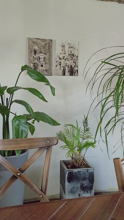 제주-카페패스-구좌-월정리-감성카페-너는파라다이스길리