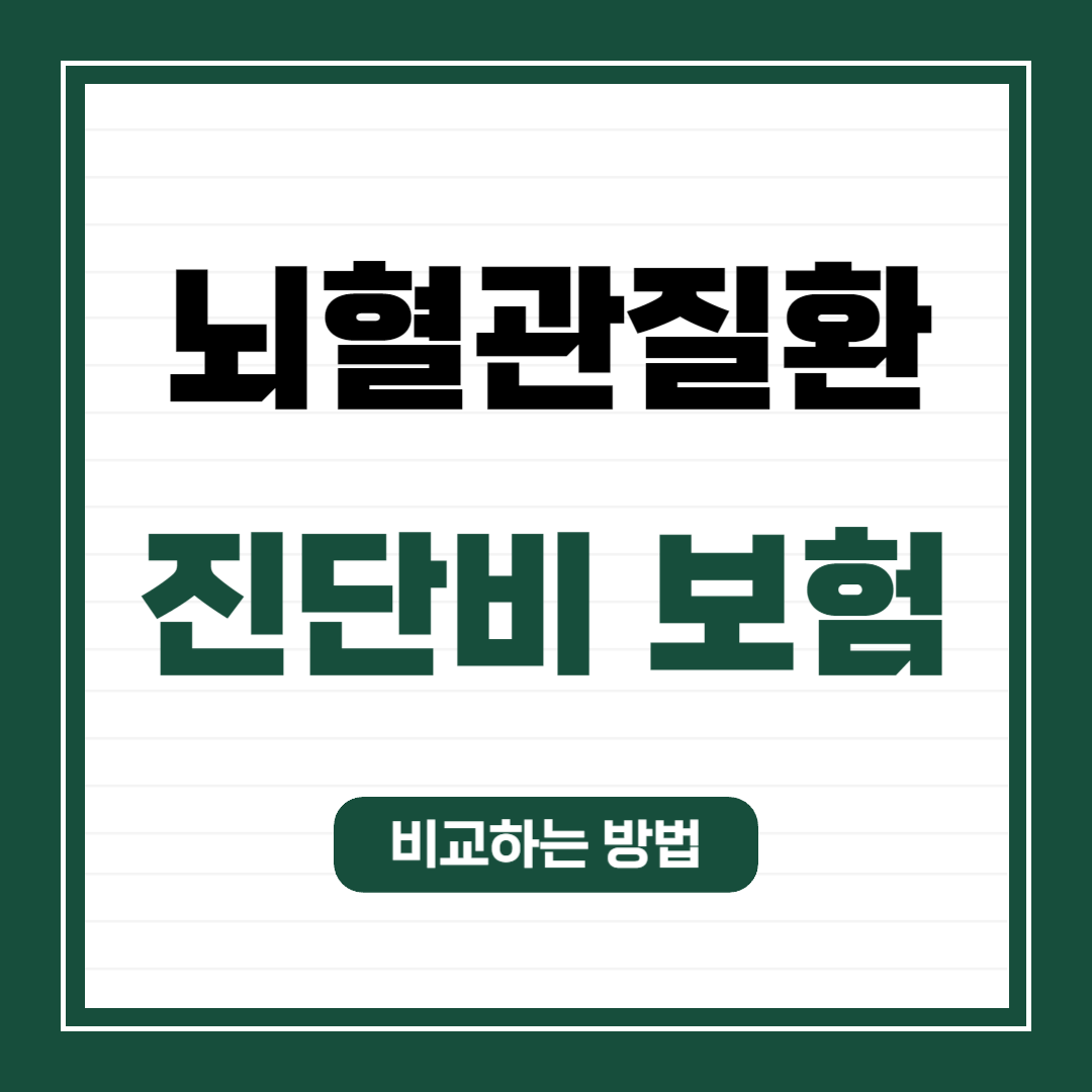 뇌혈관질환보험