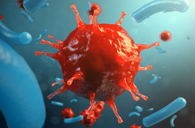 만성 염증은 왜 조용한 살인자라 불릴까