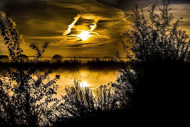 형사사건에서 공범의 진술로 인한 유죄판단 위험성과 판례 경향