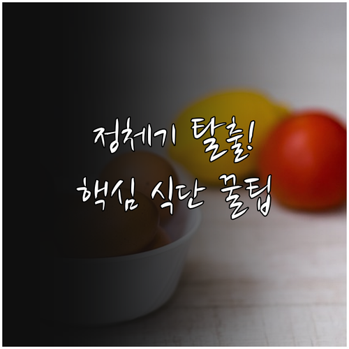 다이어트 체중 정체기 탈출 식단 조절..