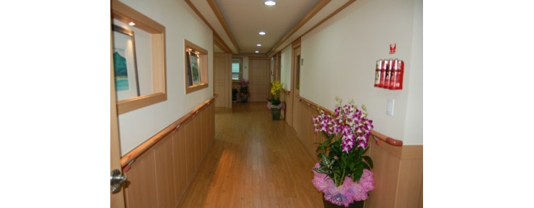 서울 송파구 요양원