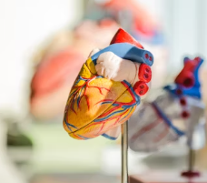 협심증 진단방법 치료법 합병증 예방