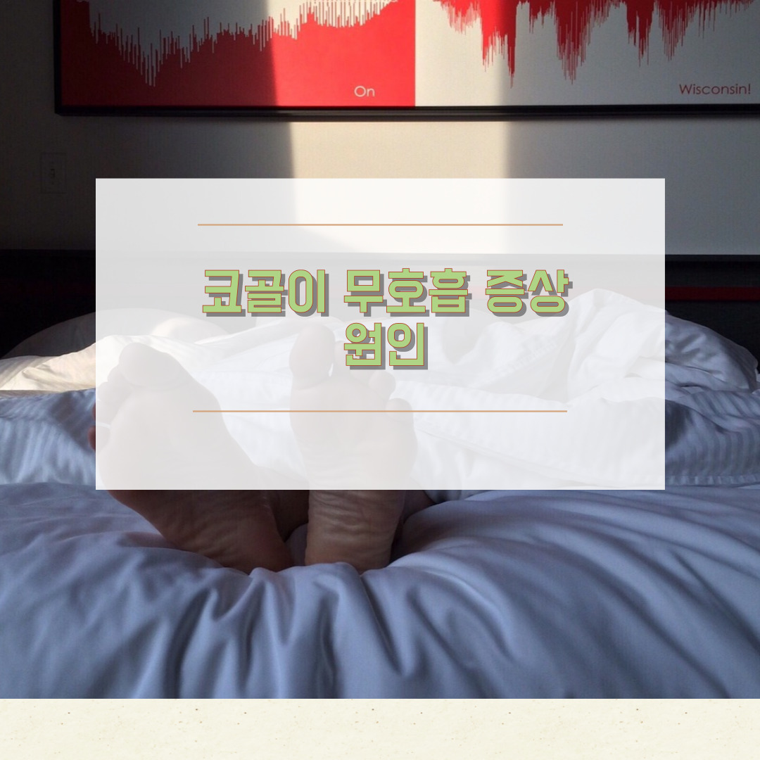 코골이 무호흡증상 원인