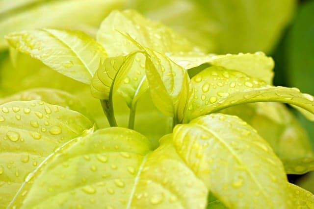 어댑티브 재사용 건축(Adaptive Reuse Architecture): 기존 건축물의 새로운 변신