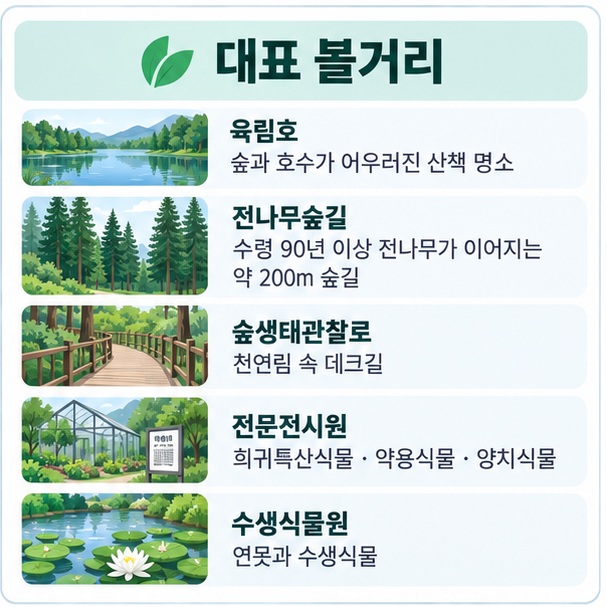 육림호 전나무숲길 숲생태관찰로 전문전시원 수생식물원의 특징을 한눈에 정리한 이미지