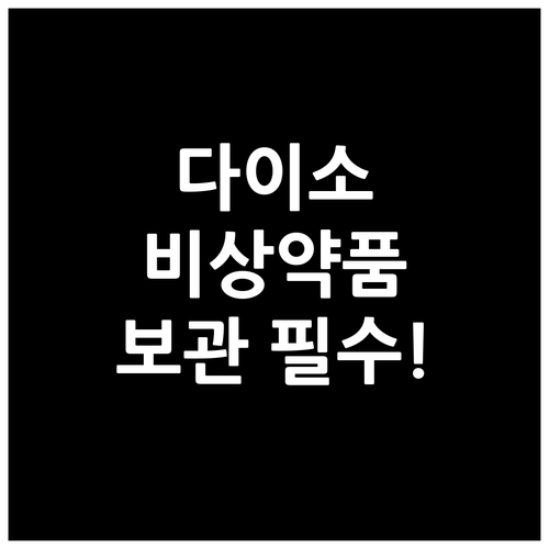 다이소 비상약품 보관함, 왜 필요할까