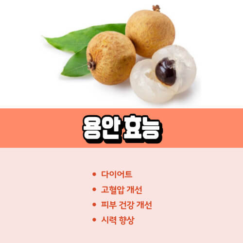 용안_효능