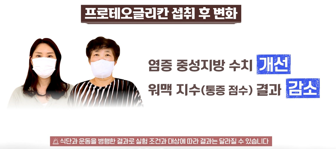 프로테오글리칸 2주 섭취 후기 및 리뷰